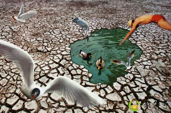 生态危机有哪些