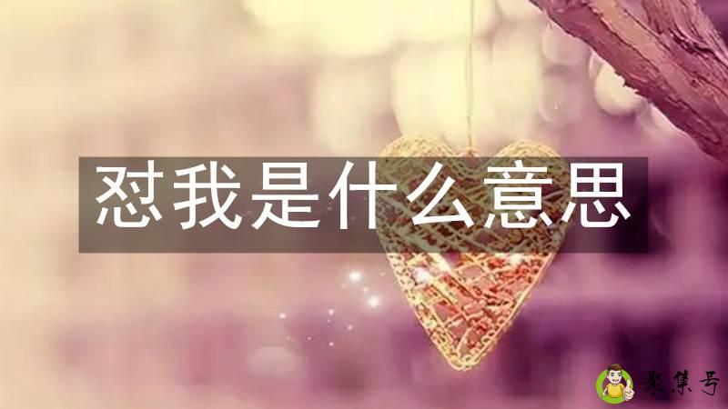 怼我是什么意思