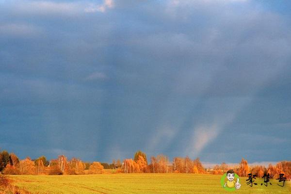 心灵契合什么意思