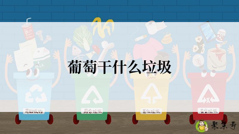 葡萄干什么垃圾