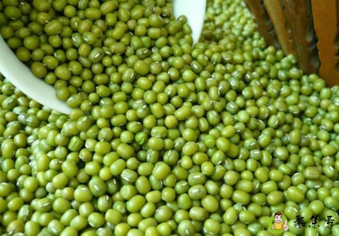 绿豆打不出浆的原因