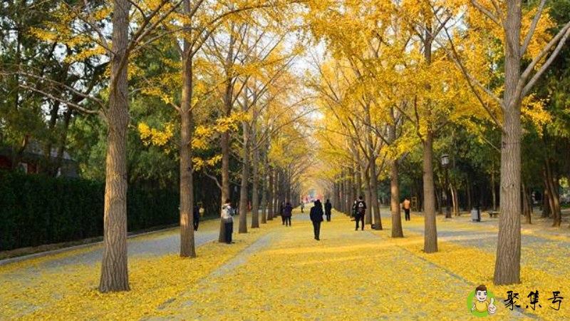 连晴不知夏去，一雨方觉秋深什么意思