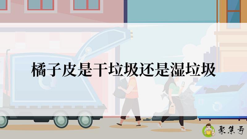 橘子皮是干垃圾还是湿垃圾