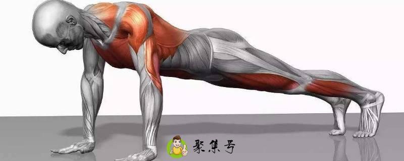 俯卧撑的正确做法