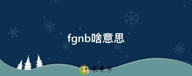 fgnb啥意思