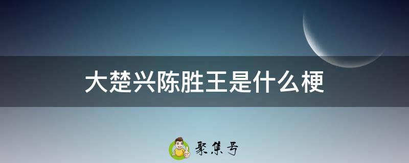 大楚兴陈胜王是什么梗