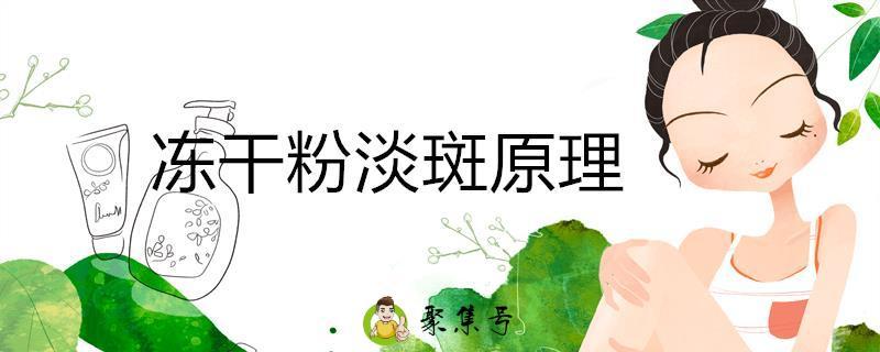 冻干粉淡斑原理