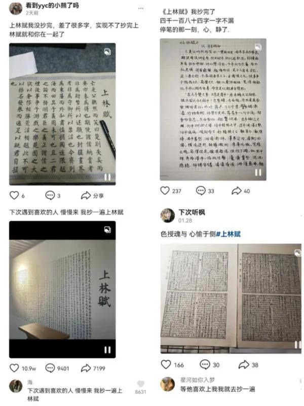 上林赋讲的是什么?为何全网手抄上林赋如此火热？