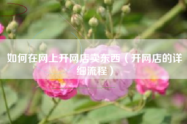 如何在网上开网店卖东西（开网店的详细流程）