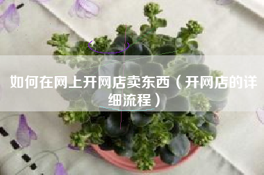 如何在网上开网店卖东西（开网店的详细流程）