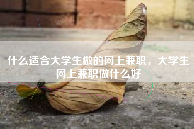 什么适合大学生做的网上兼职，大学生网上兼职做什么好