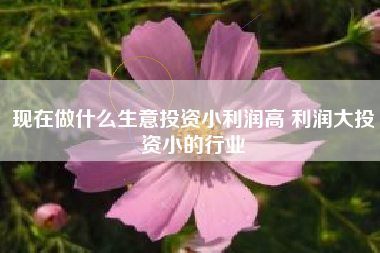 现在做什么生意投资小利润高 利润大投资小的行业