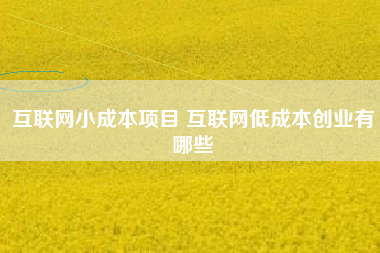 互联网小成本项目 互联网低成本创业有哪些