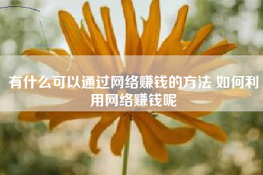 有什么可以通过网络赚钱的方法 如何利用网络赚钱呢