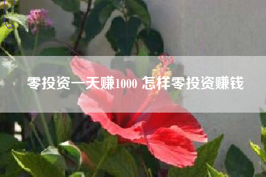 零投资一天赚1000 怎样零投资赚钱