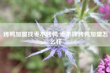 烤鸭加盟找枣木烤鸭 枣木牌烤鸭加盟怎么样