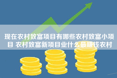 现在农村致富项目有哪些农村致富小项目 农村致富新项目业什么最赚钱农村