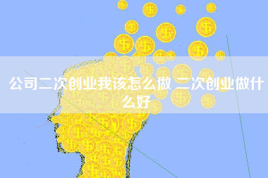 公司二次创业我该怎么做 二次创业做什么好