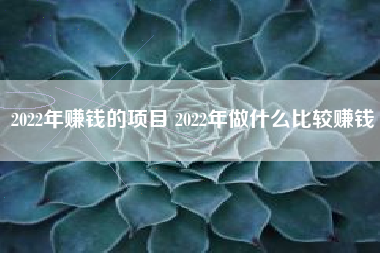 2022年赚钱的项目 2022年做什么比较赚钱