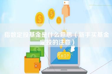 指数定投基金是什么意思（新手买基金定投的注意）