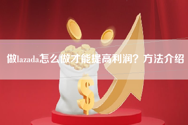 做lazada怎么做才能提高利润？方法介绍