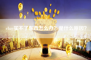 ebay买不了东西怎么办？是什么原因？
