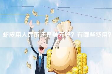 虾皮用人民币还是美元好？有哪些费用？