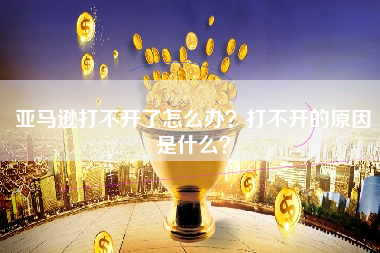 亚马逊打不开了怎么办？打不开的原因是什么？