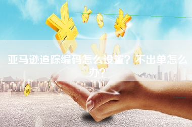亚马逊追踪编码怎么设置？不出单怎么办？