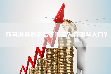 亚马逊自然流量在哪看？有哪些入口？