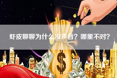 虾皮聊聊为什么没声音？哪里不对？