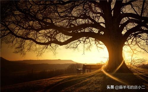 在家里可以做的网络兼职