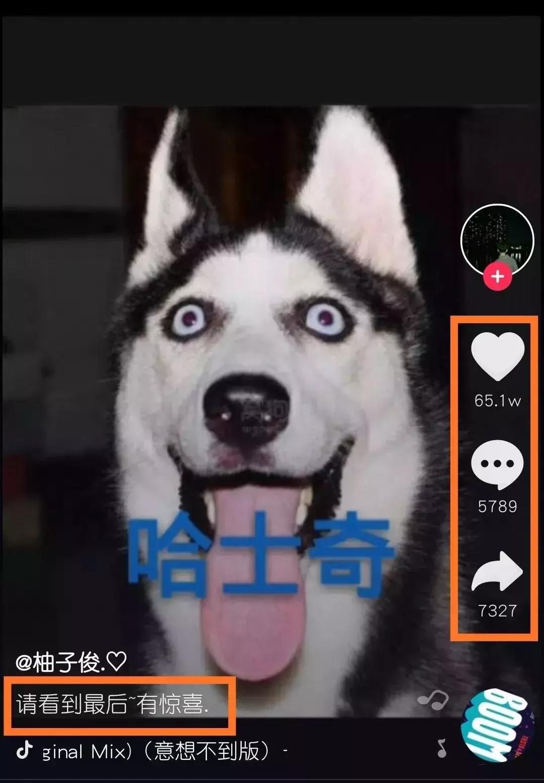 点赞百万的爆款抖音短视频,标题都是这样写的