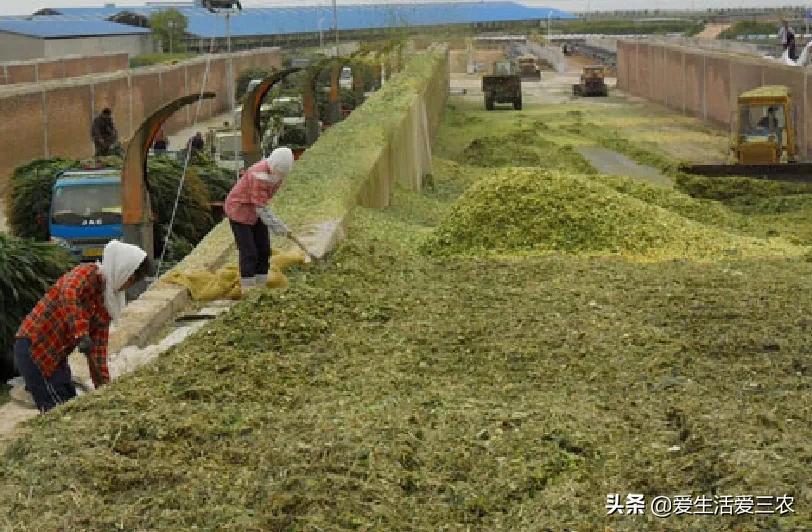 分享7大农村加工行业,想在农村开厂的来看看,附带详细方法!