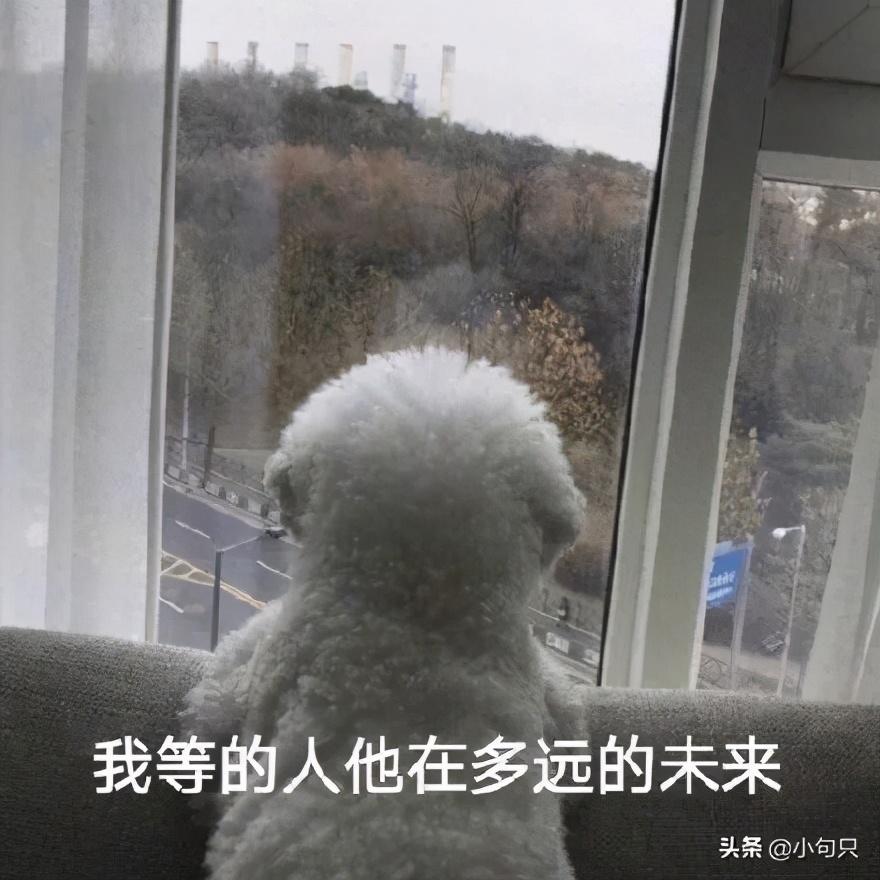 文案|适合双11发朋友圈的搞笑文案
