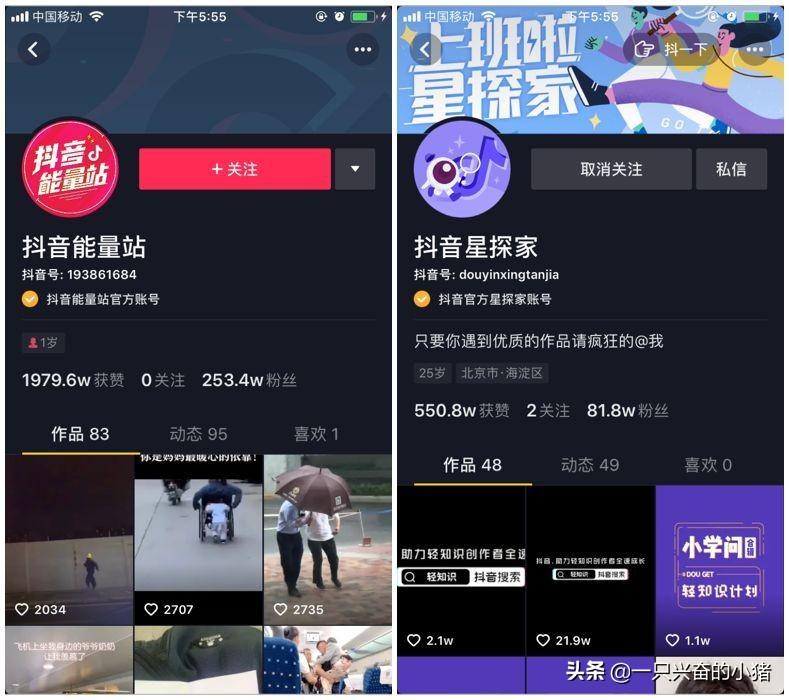 玩抖音一定要关注的10个抖音官方账号
