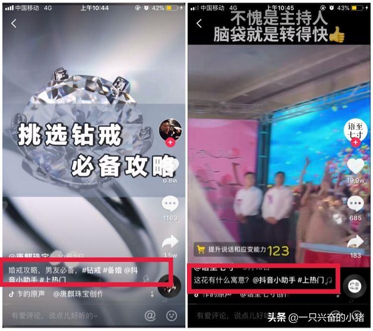 玩抖音一定要关注的10个抖音官方账号