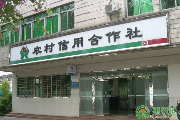 在农村创业,这四种贷款能享受“免息”优惠政策!