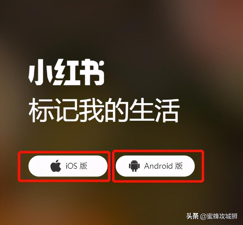 最近与微信闹得沸沸扬扬的小红书究竟是什么?