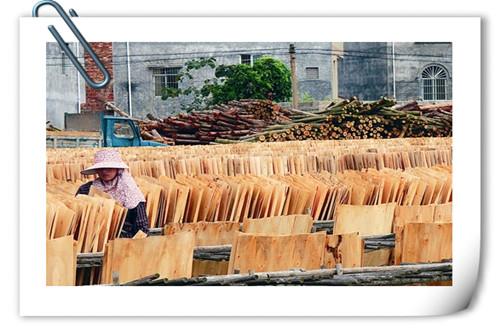 在农村除了种植,还有什么可以做加工的?推荐以下八个项目供参考
