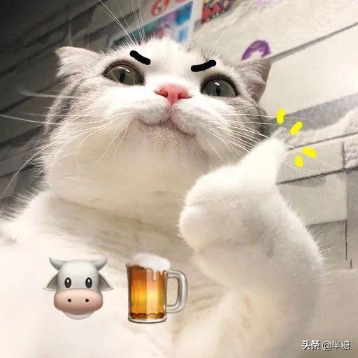 深扒雅诗兰黛,没想到有那么多不为人知的秘密?