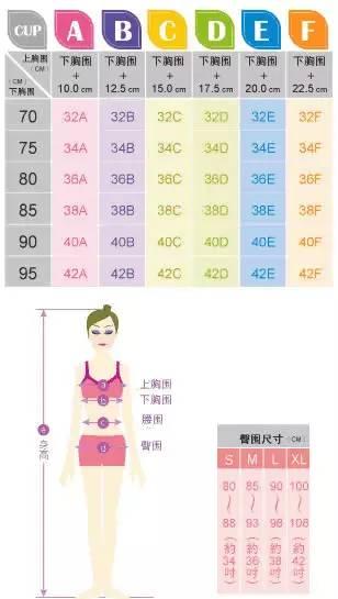 女生胸的尺码对照表（教你区分胸围ABCD）