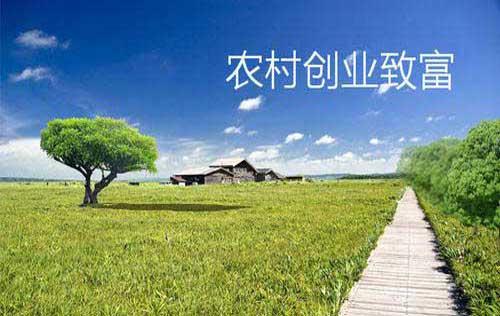 适合农村创业及家庭工厂发展的项目,请关注收藏