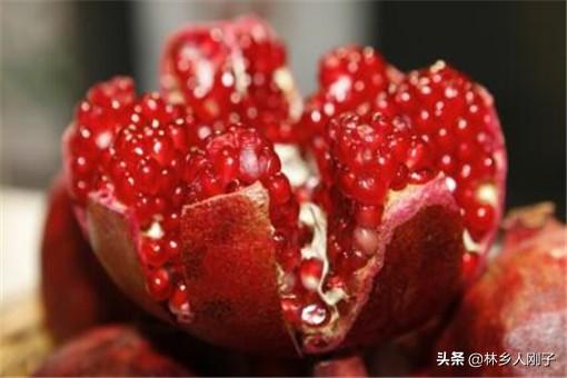 2020年种植什么最赚钱?这6种农村致富新项目不愁没销路!