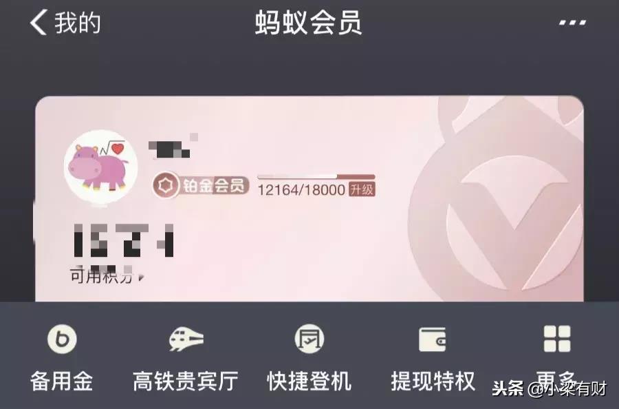 支付宝积分有什么用（支付宝积分用途介绍）