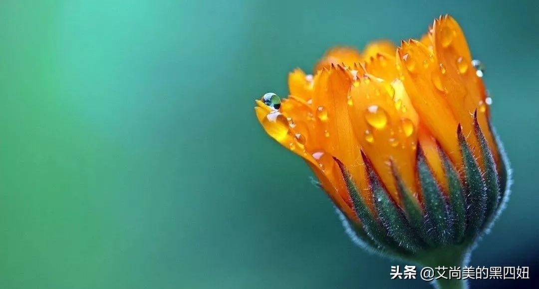 初学者卖化妆品的技巧和话术技术（化妆品日常销售话术66套）