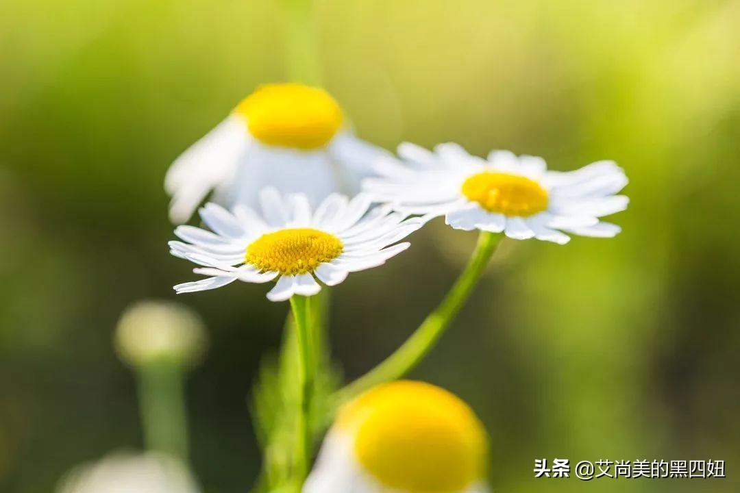 化妆品日常销售话术66套(珍藏版)