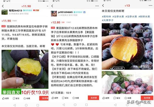 实操分享:小白轻松月入10000+的闲鱼玩法