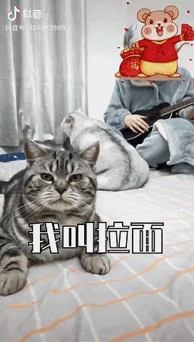 抖音如何拍,才能让用户牢牢地记住你?