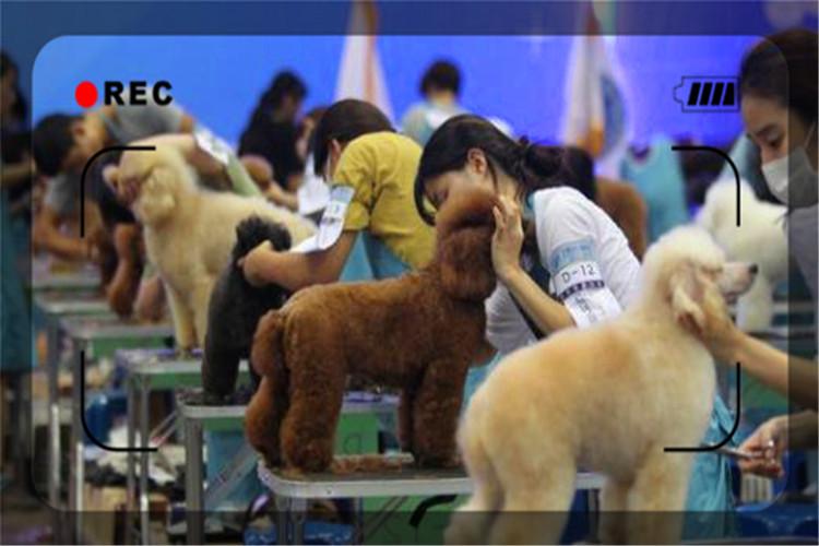 目前经济形势下,开什么样的实体店比较稳妥呢?推荐几个供参考